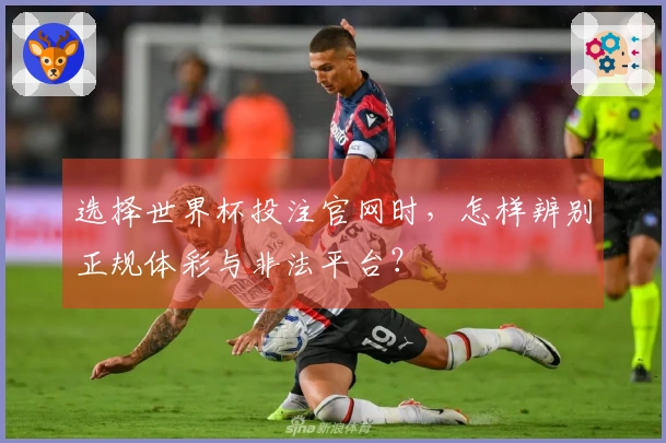 选择世界杯投注官网时，怎样辨别正规体彩与非法平台？