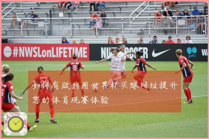 如何有效利用世界杯买球网址提升您的体育观赛体验