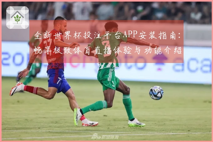 全新世界杯投注平台APP安装指南：畅享极致体育直播体验与功能介绍