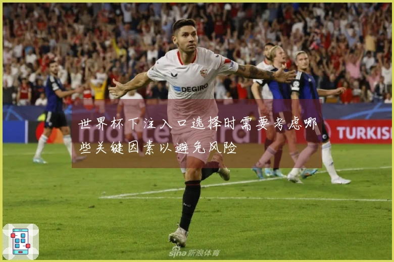 世界杯下注入口选择时需要考虑哪些关键因素以避免风险