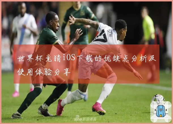 世界杯竞猜iOS下载的优缺点分析及使用体验分享