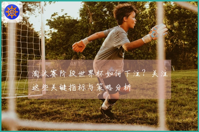 淘汰赛阶段世界杯如何下注？关注这些关键指标与策略分析