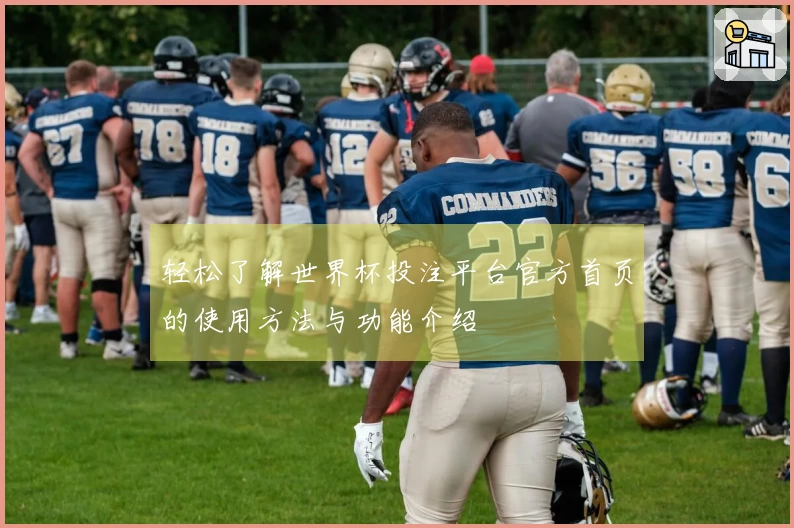 轻松了解世界杯投注平台官方首页的使用方法与功能介绍