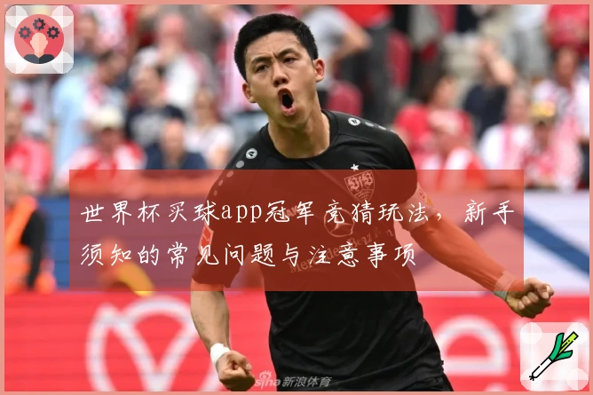 世界杯买球app冠军竞猜玩法，新手须知的常见问题与注意事项