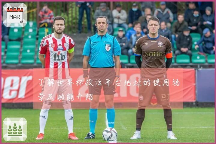 了解世界杯投注平台地址的使用场景及功能介绍