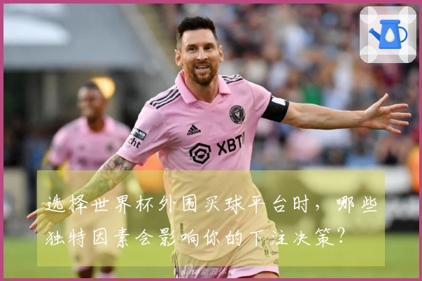 选择世界杯外围买球平台时，哪些独特因素会影响你的下注决策？