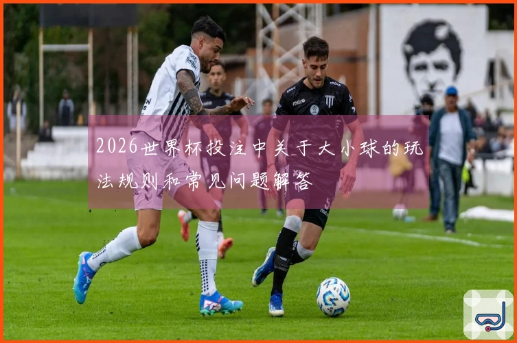 2026世界杯投注中关于大小球的玩法规则和常见问题解答