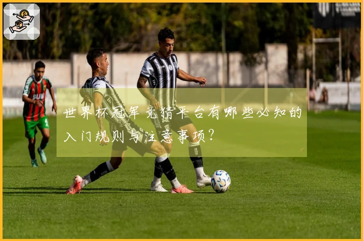 世界杯冠军竞猜平台有哪些必知的入门规则与注意事项？