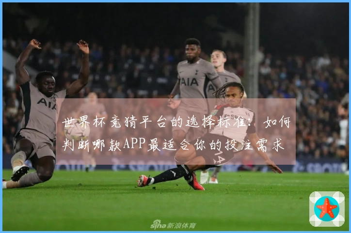 世界杯竞猜平台的选择标准：如何判断哪款APP最适合你的投注需求