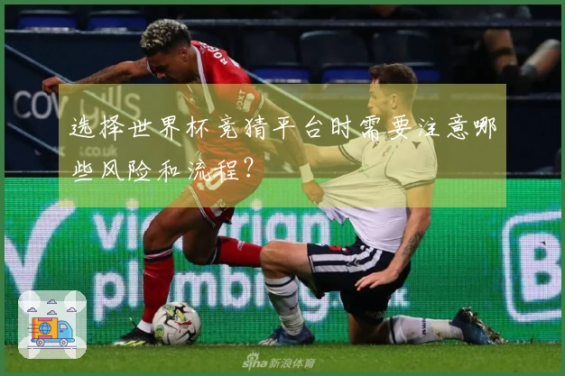 选择世界杯竞猜平台时需要注意哪些风险和流程？