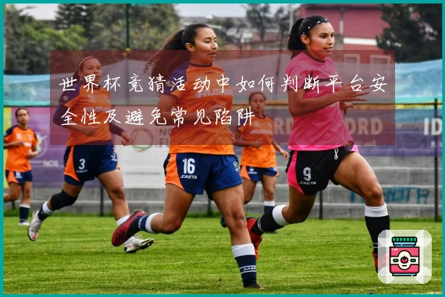 世界杯竞猜活动中如何判断平台安全性及避免常见陷阱