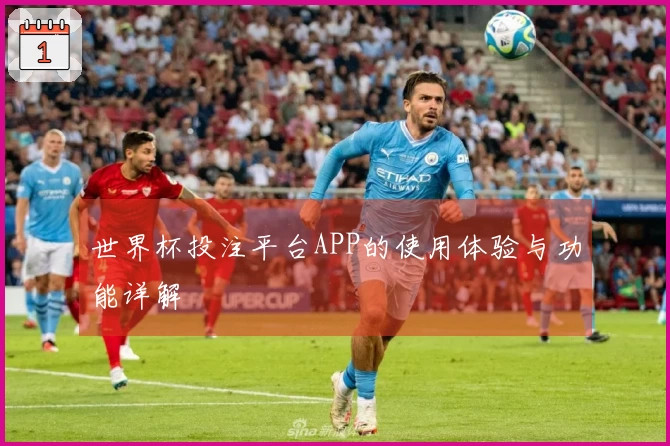 世界杯投注平台APP的使用体验与功能详解