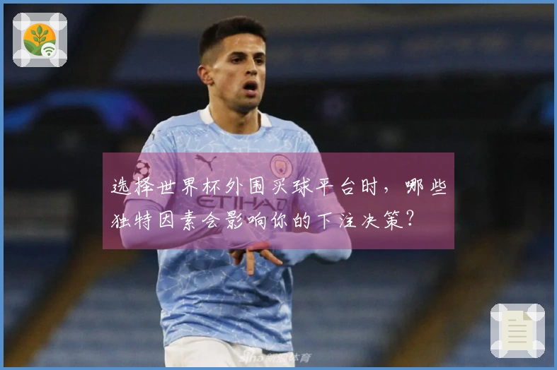 选择世界杯外围买球平台时，哪些独特因素会影响你的下注决策？