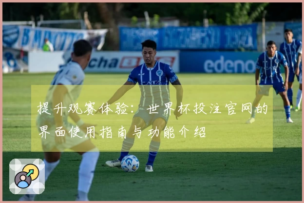 提升观赛体验：世界杯投注官网的界面使用指南与功能介绍