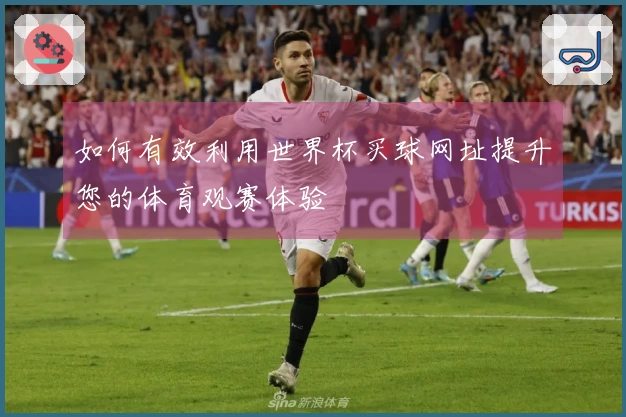 如何有效利用世界杯买球网址提升您的体育观赛体验