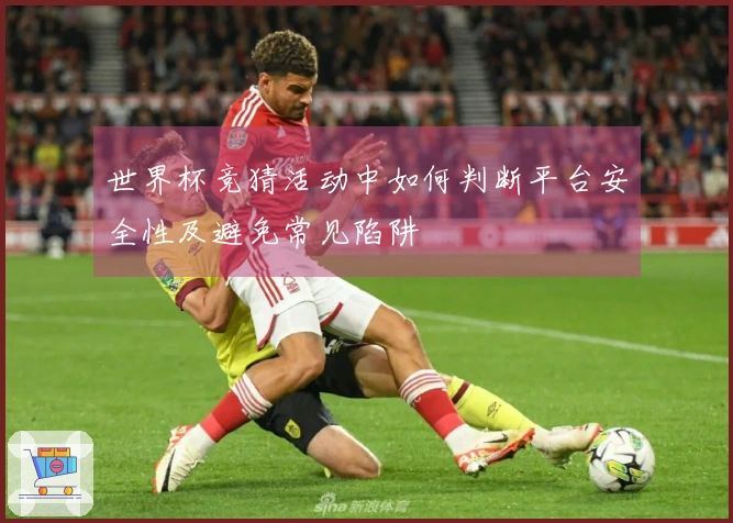世界杯竞猜活动中如何判断平台安全性及避免常见陷阱