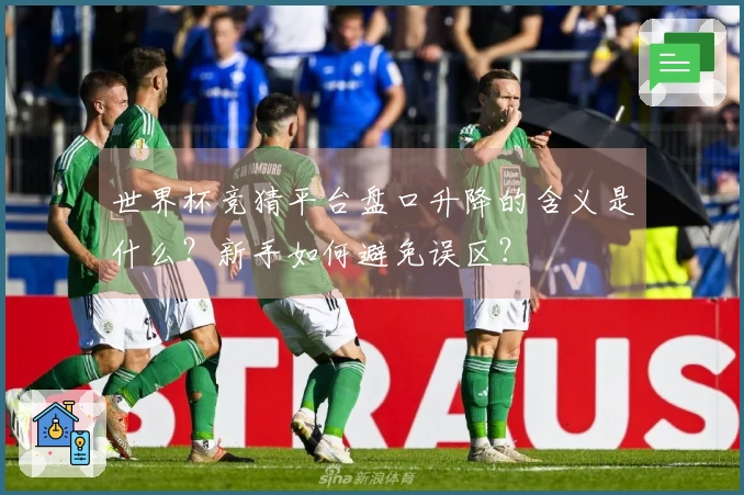 世界杯竞猜平台盘口升降的含义是什么？新手如何避免误区？