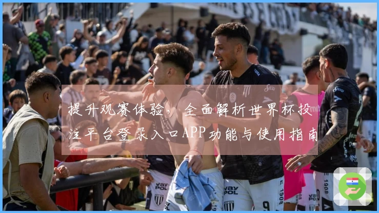 提升观赛体验，全面解析世界杯投注平台登录入口APP功能与使用指南