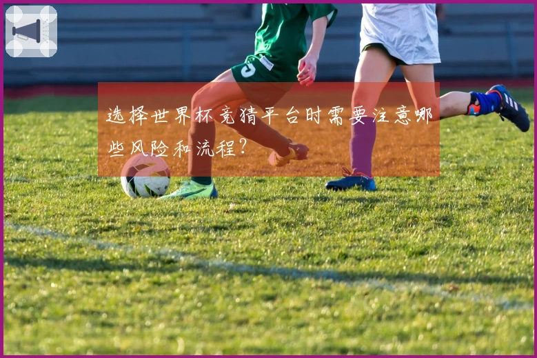 选择世界杯竞猜平台时需要注意哪些风险和流程？