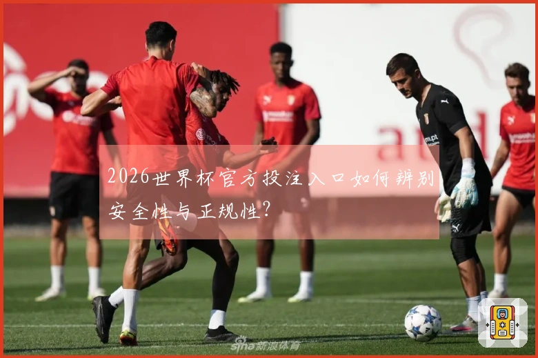 2026世界杯官方投注入口如何辨别安全性与正规性？