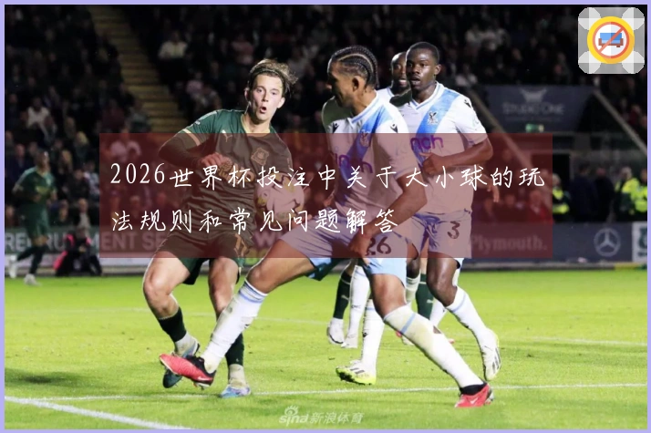 2026世界杯投注中关于大小球的玩法规则和常见问题解答