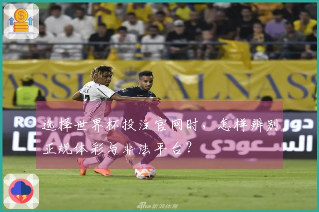 选择世界杯投注官网时，怎样辨别正规体彩与非法平台？