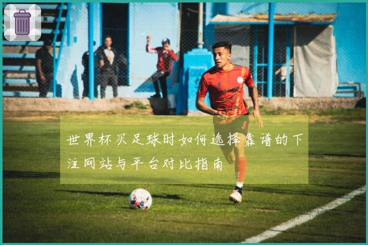 世界杯买足球时如何选择靠谱的下注网站与平台对比指南